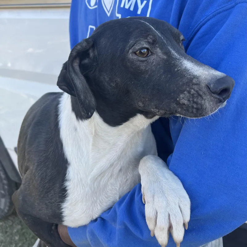 Relic  Local April thumbnail 5