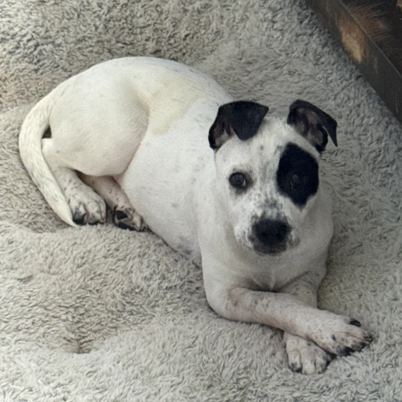 Envision thumbnail 2