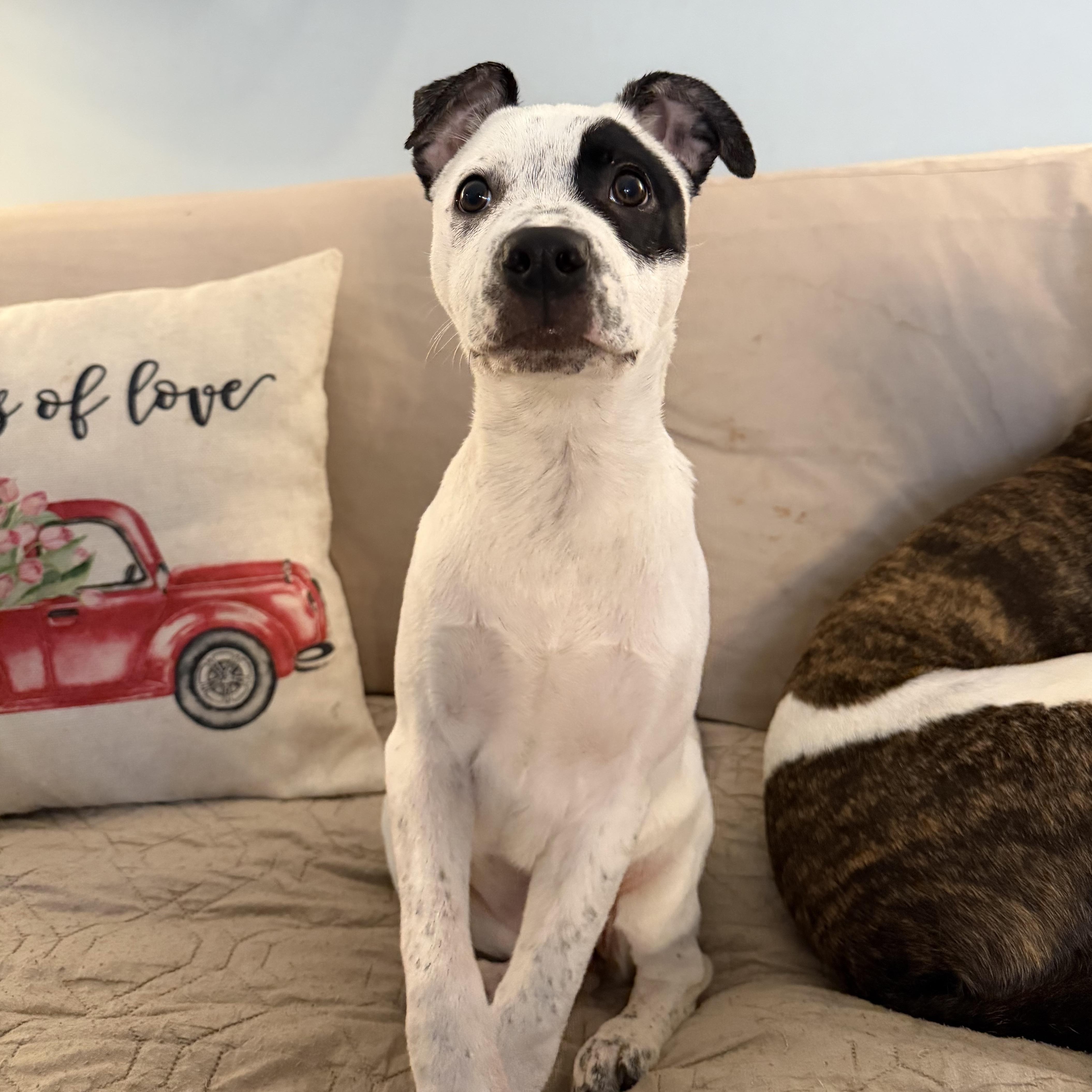 Envision thumbnail 3