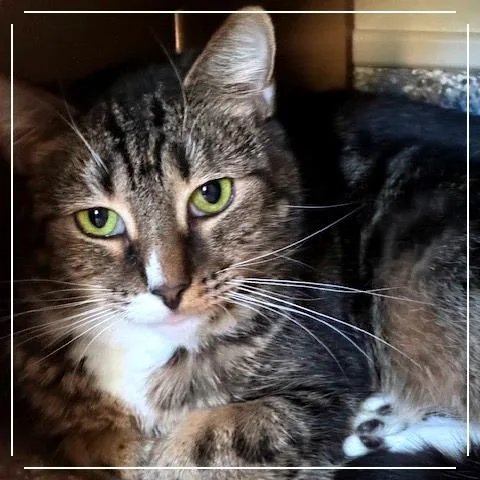 Momma Maisy thumbnail 3