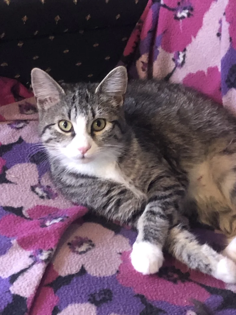Bubbles thumbnail 4