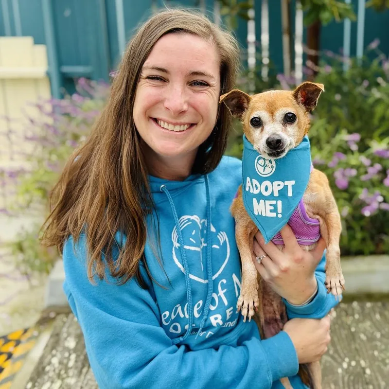 Beanie Baby thumbnail 4