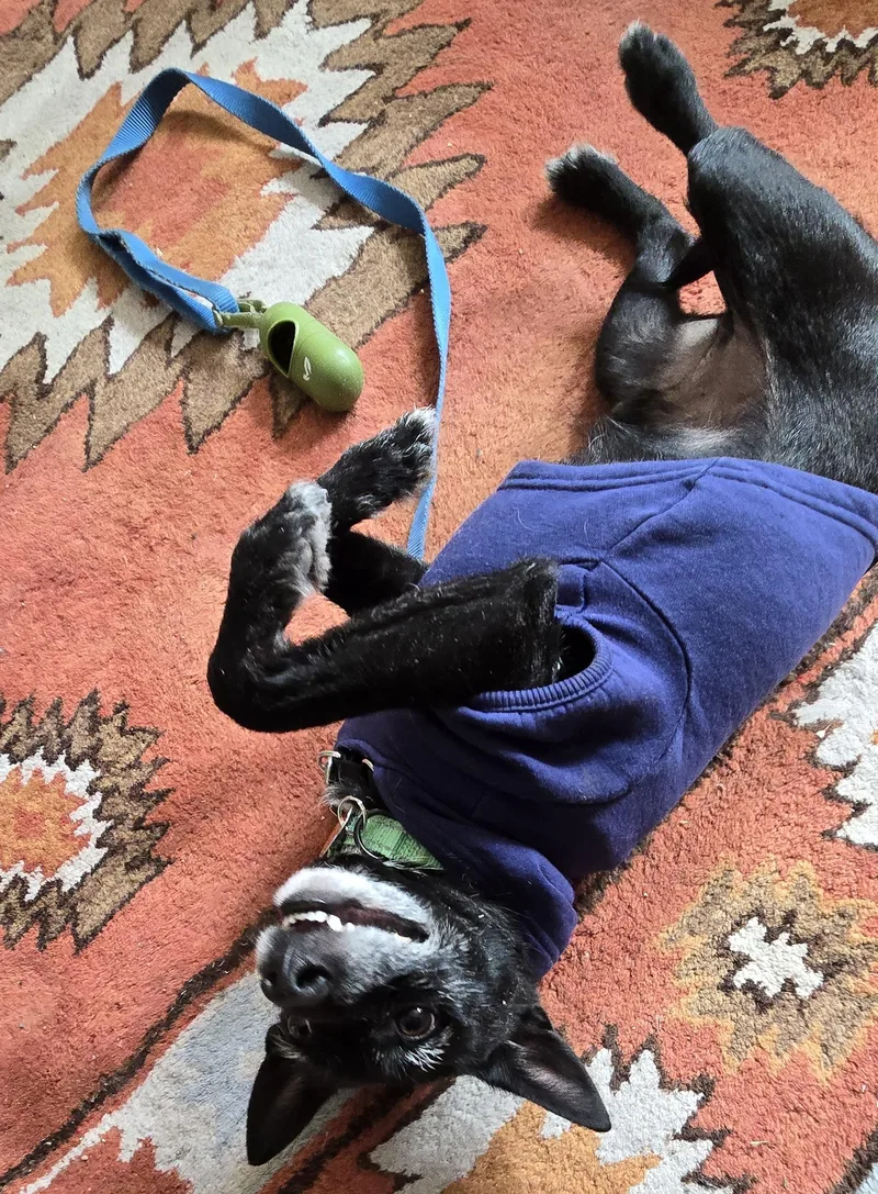 Deedrick thumbnail 2