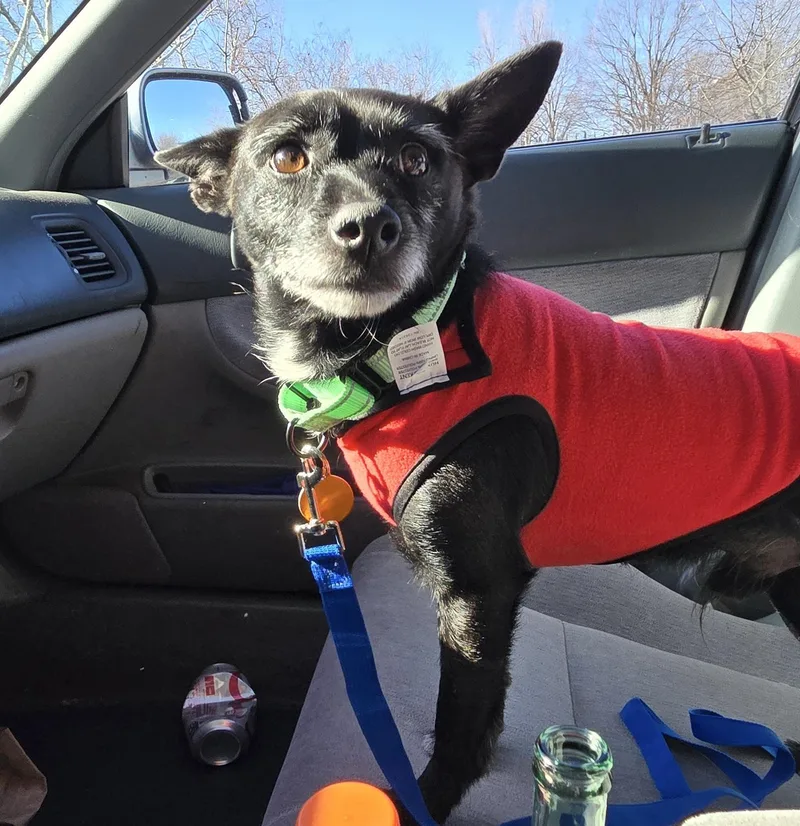 Deedrick thumbnail 3