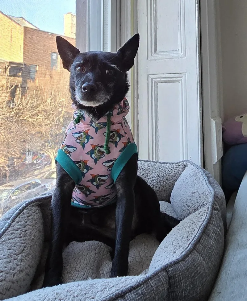 Deedrick thumbnail 6