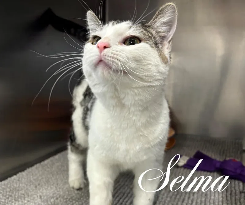 Selma