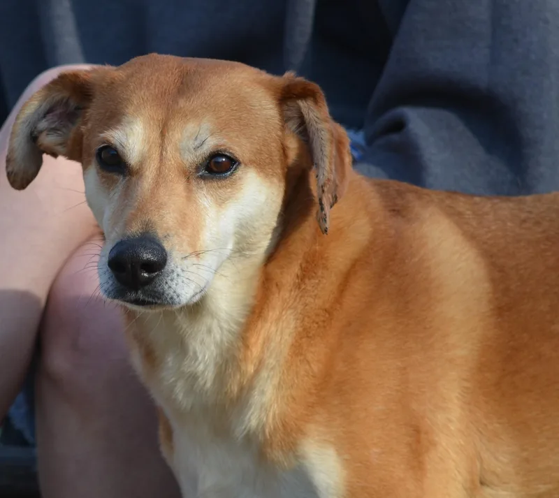 Plain Jane thumbnail 2