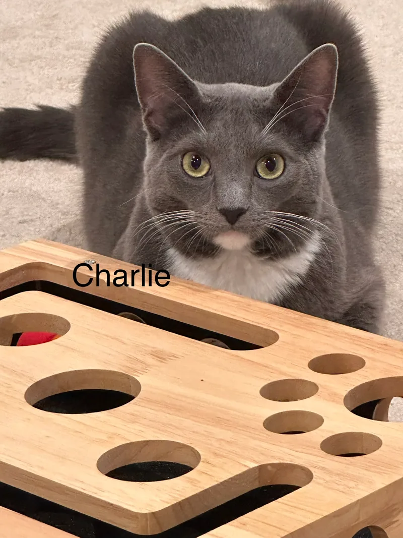 Charlie