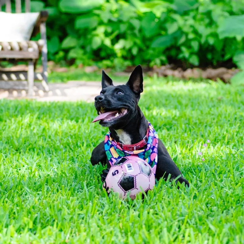 Alexandra thumbnail 2