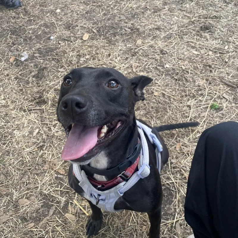 Alexandra thumbnail 4