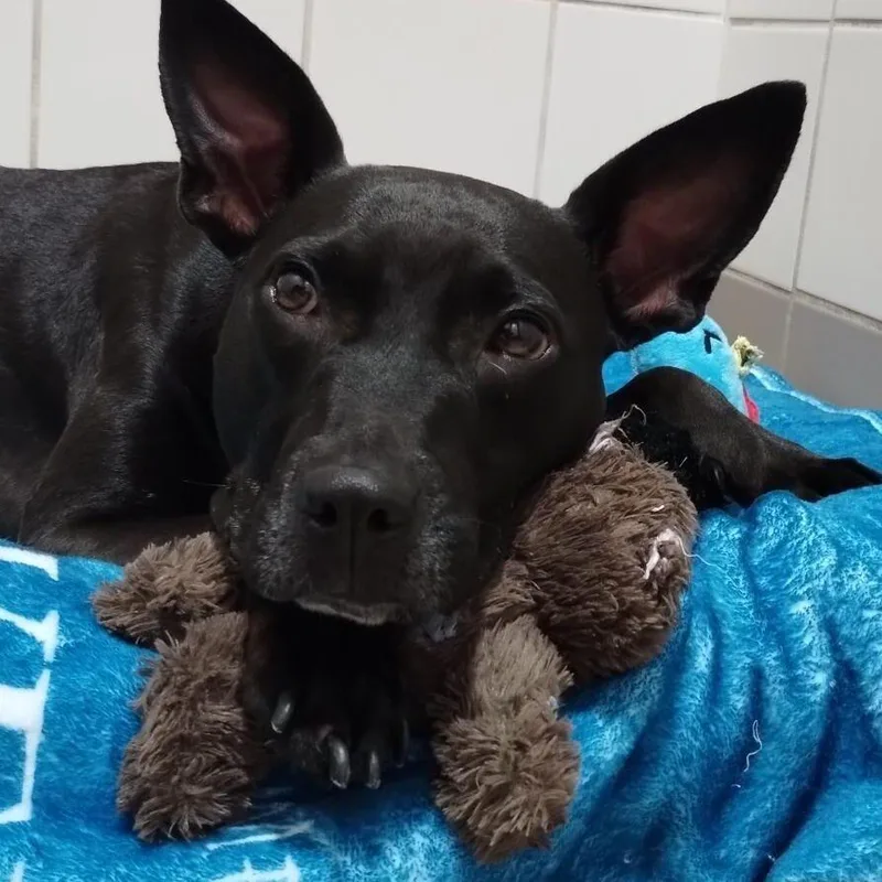 Alexandra thumbnail 5