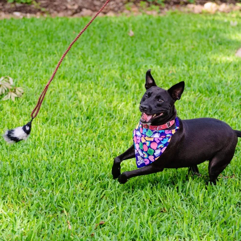 Alexandra thumbnail 6