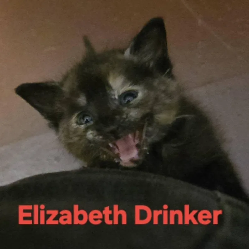 Elizabeth Drinker thumbnail 2