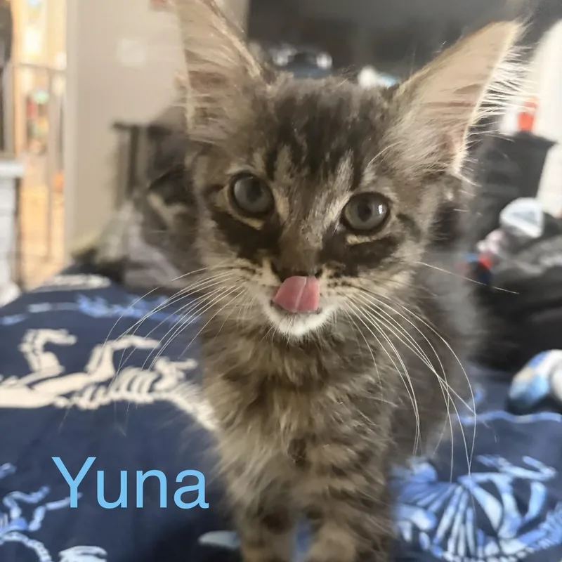 Yuna