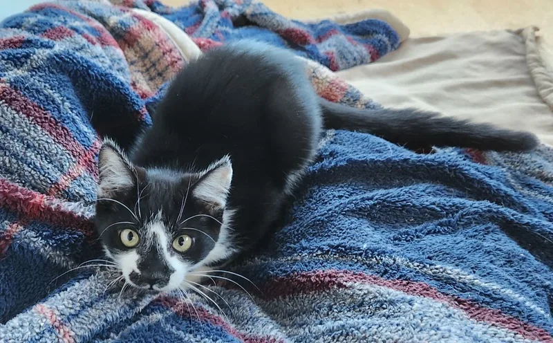 Little My thumbnail 2