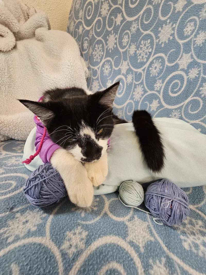 Little My thumbnail 3