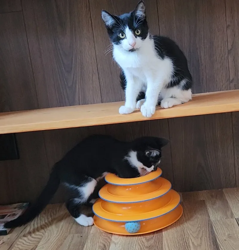 Little My thumbnail 4