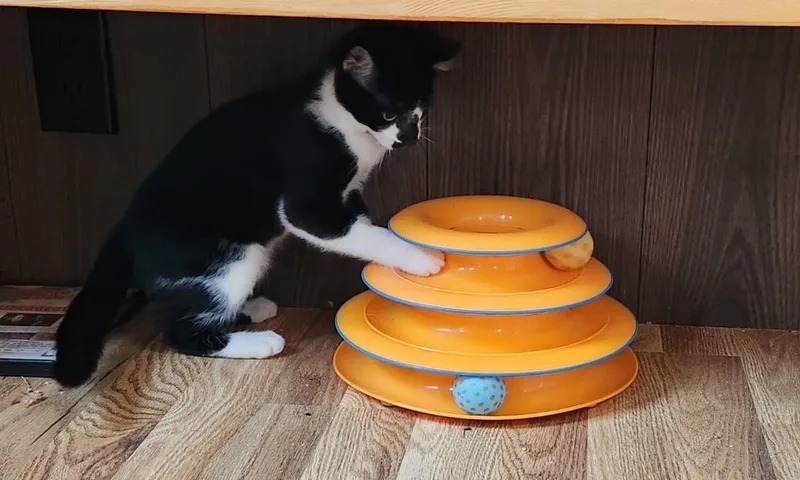 Little My thumbnail 5