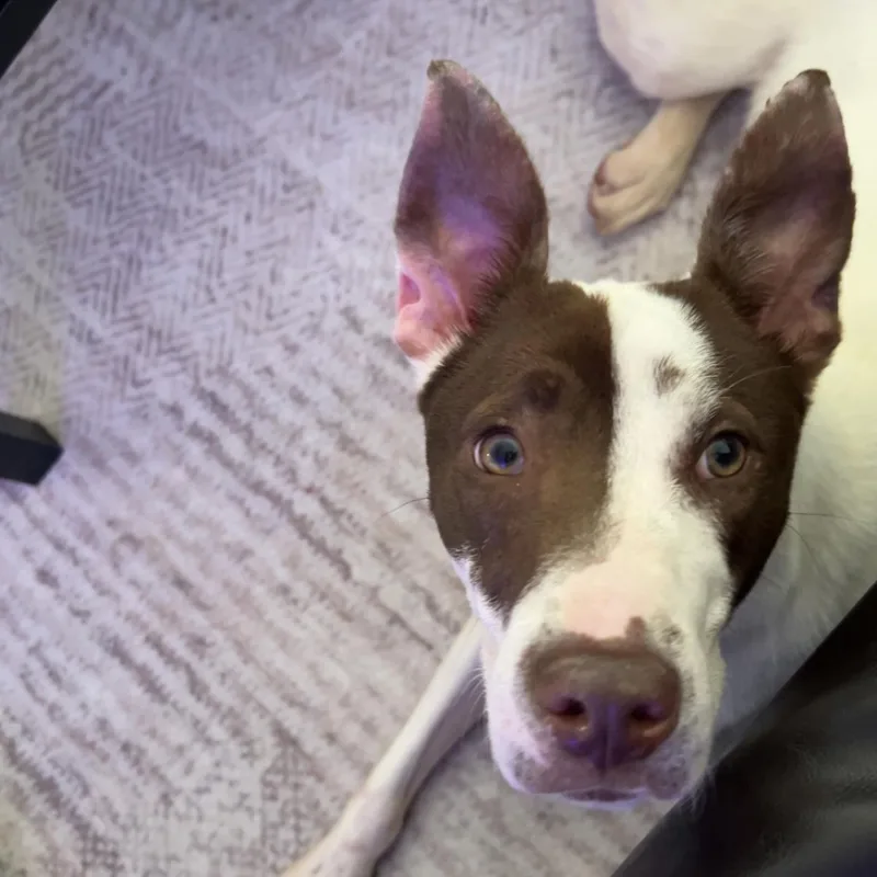 Hydrojug thumbnail 2