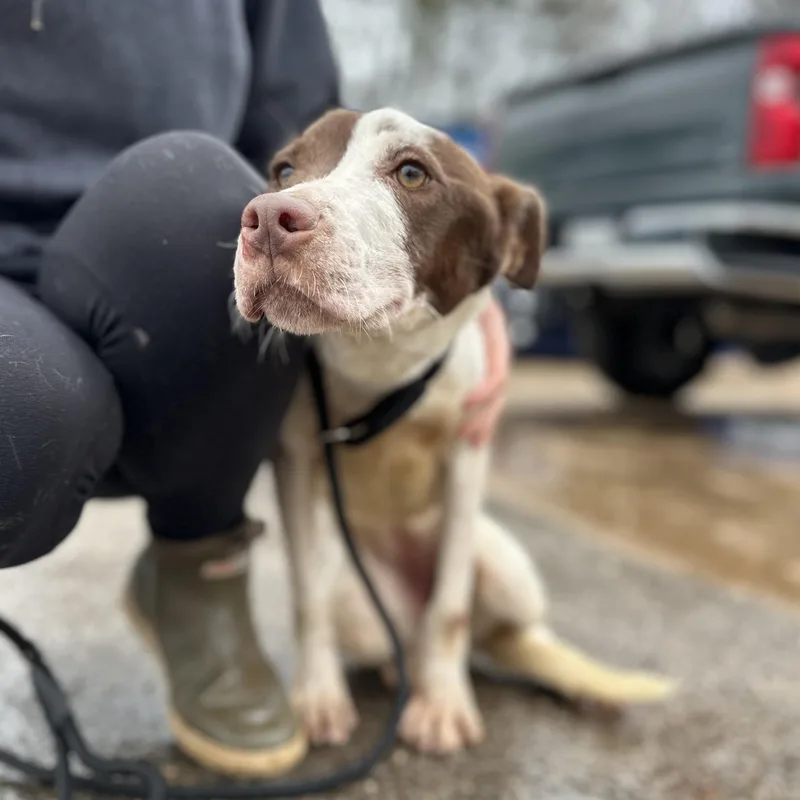 Hydrojug thumbnail 3