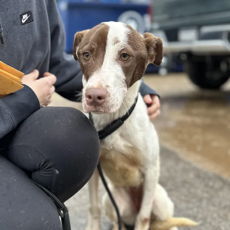 Hydrojug thumbnail 4