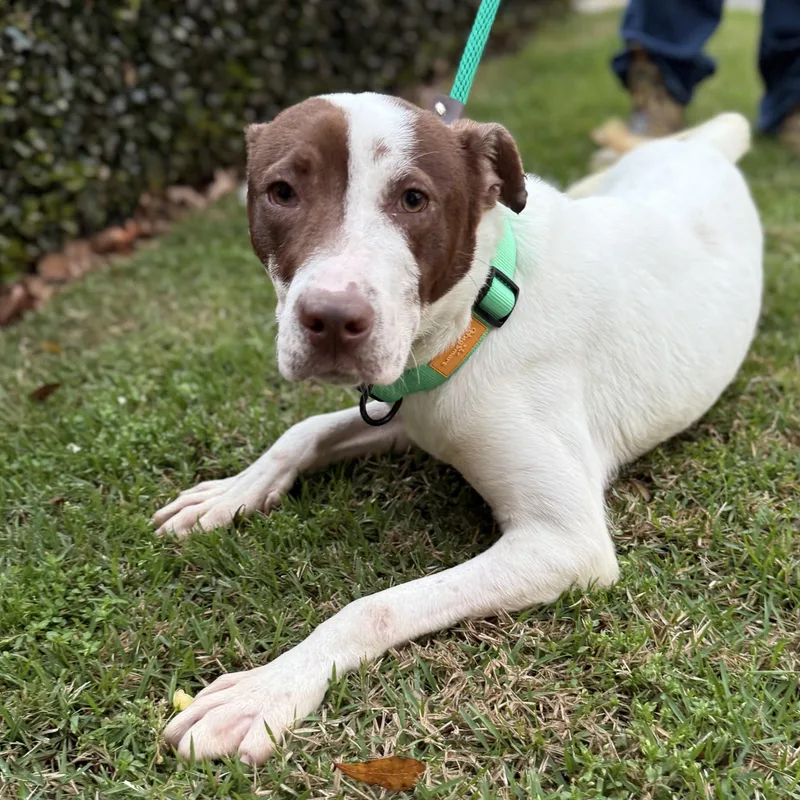 Hydrojug thumbnail 5