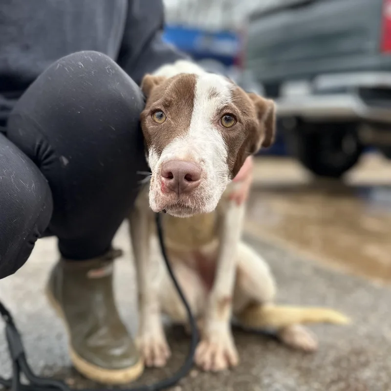 Hydrojug thumbnail 6