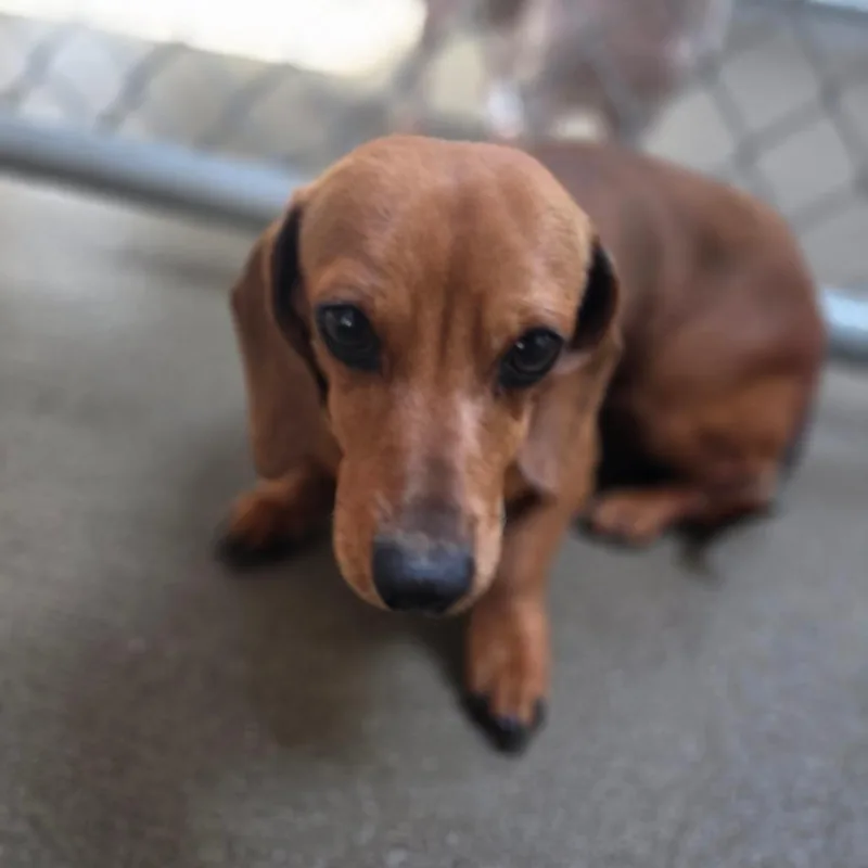 Floriana thumbnail 2