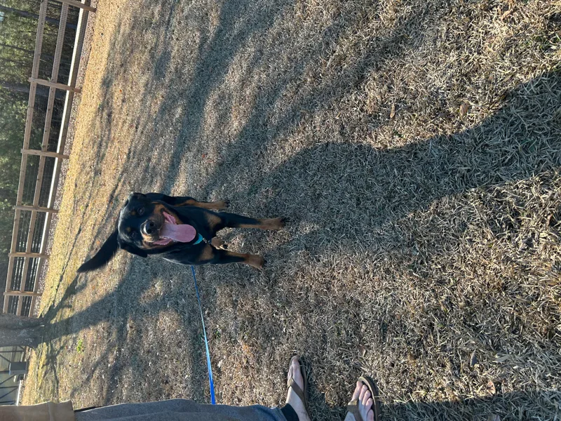 El Patron thumbnail 4