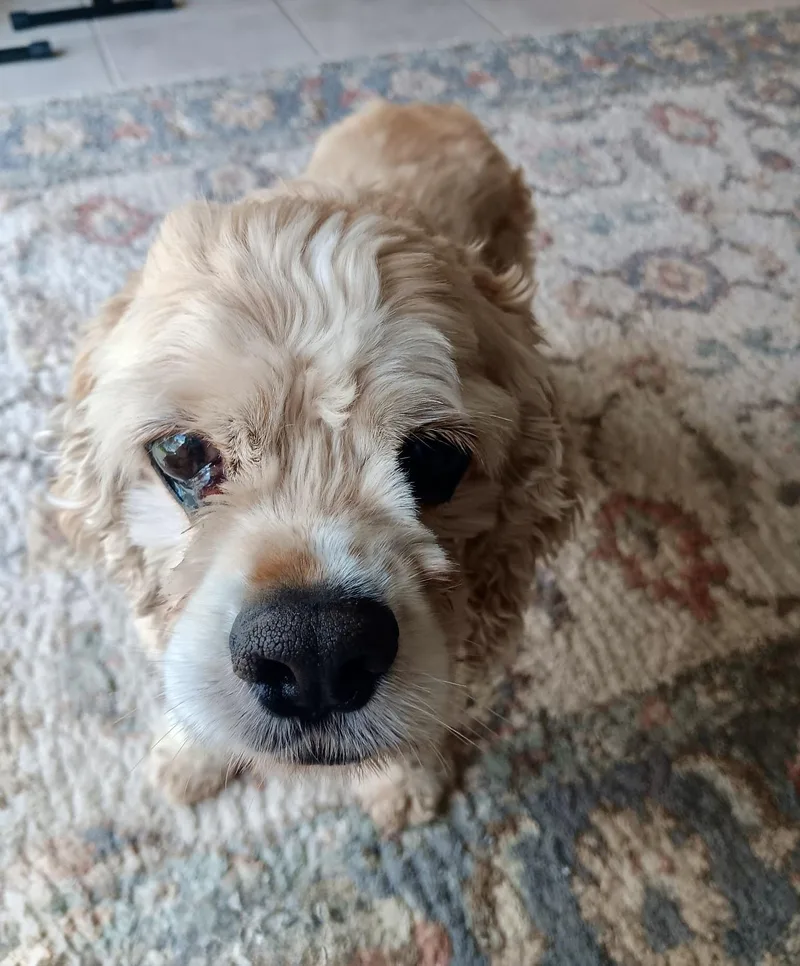Bernie