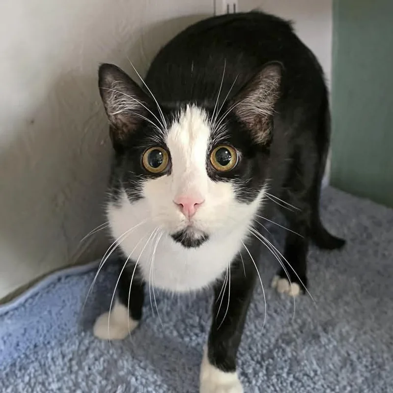 Lenny Orr thumbnail 2