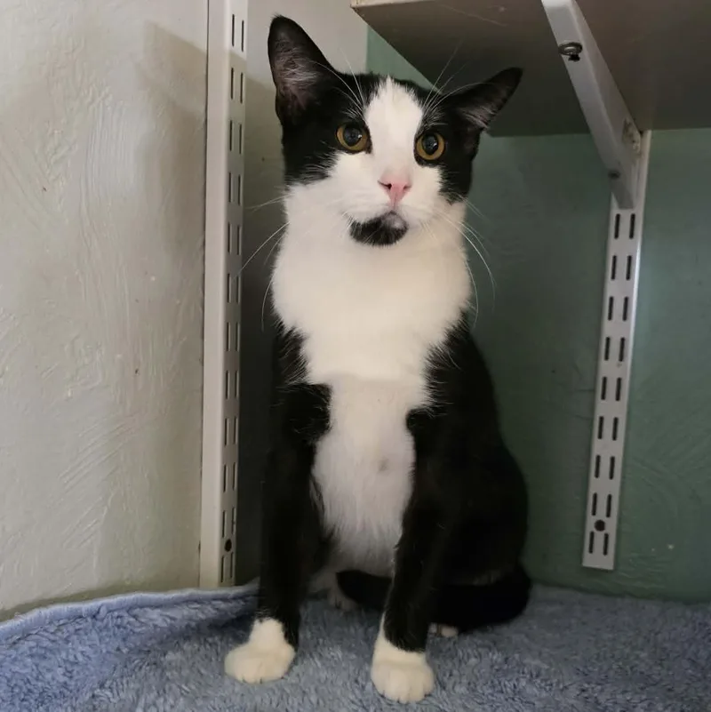 Lenny Orr thumbnail 3