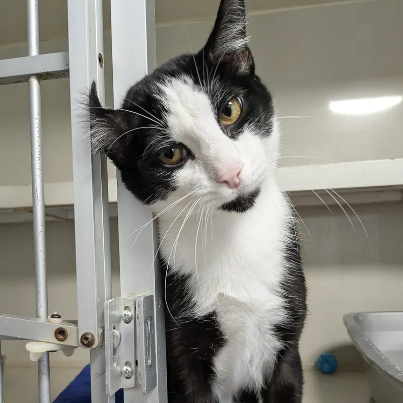 Lenny Orr thumbnail 4