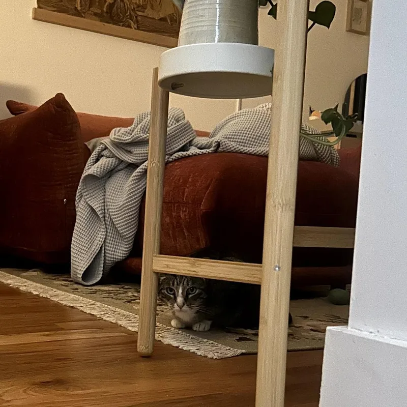 Holiday Inn thumbnail 3