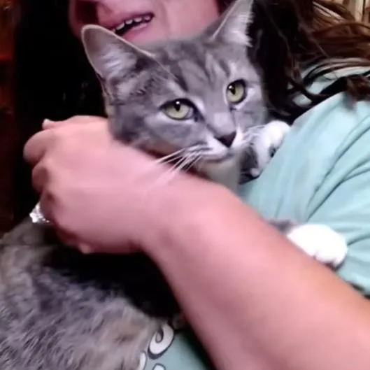 Angelique thumbnail 2