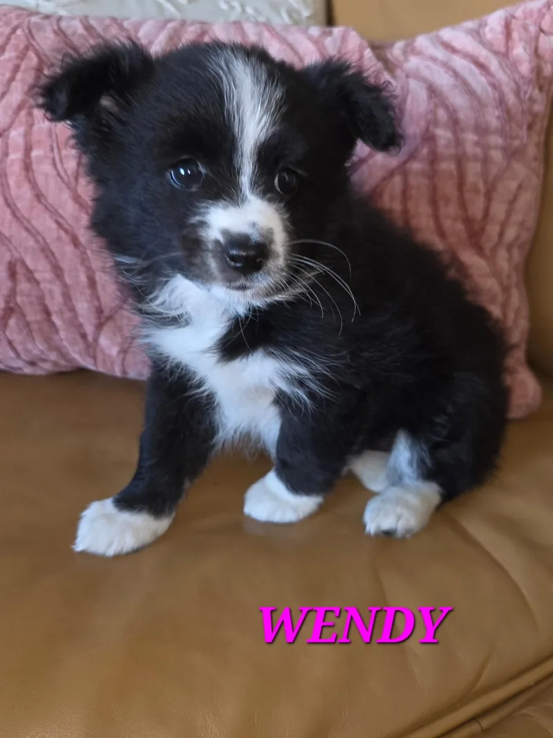Wendy And Winston