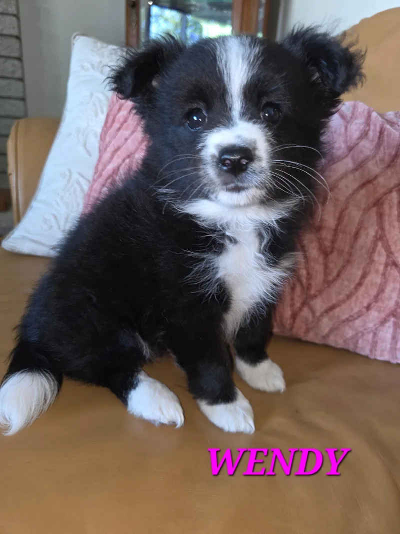 Wendy And Winston thumbnail 2