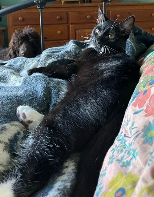 Tempi  Athens  thumbnail 2