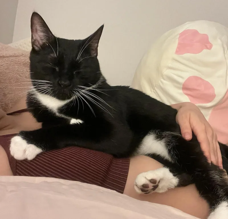 Tempi  Athens  thumbnail 5