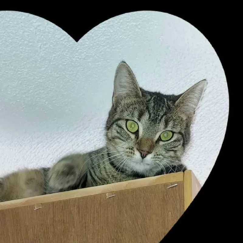 Small Bob   thumbnail 2