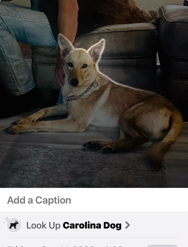Dolly Barkin thumbnail 2