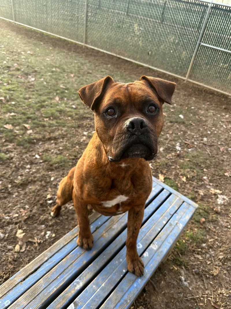 Joe Chill thumbnail 2