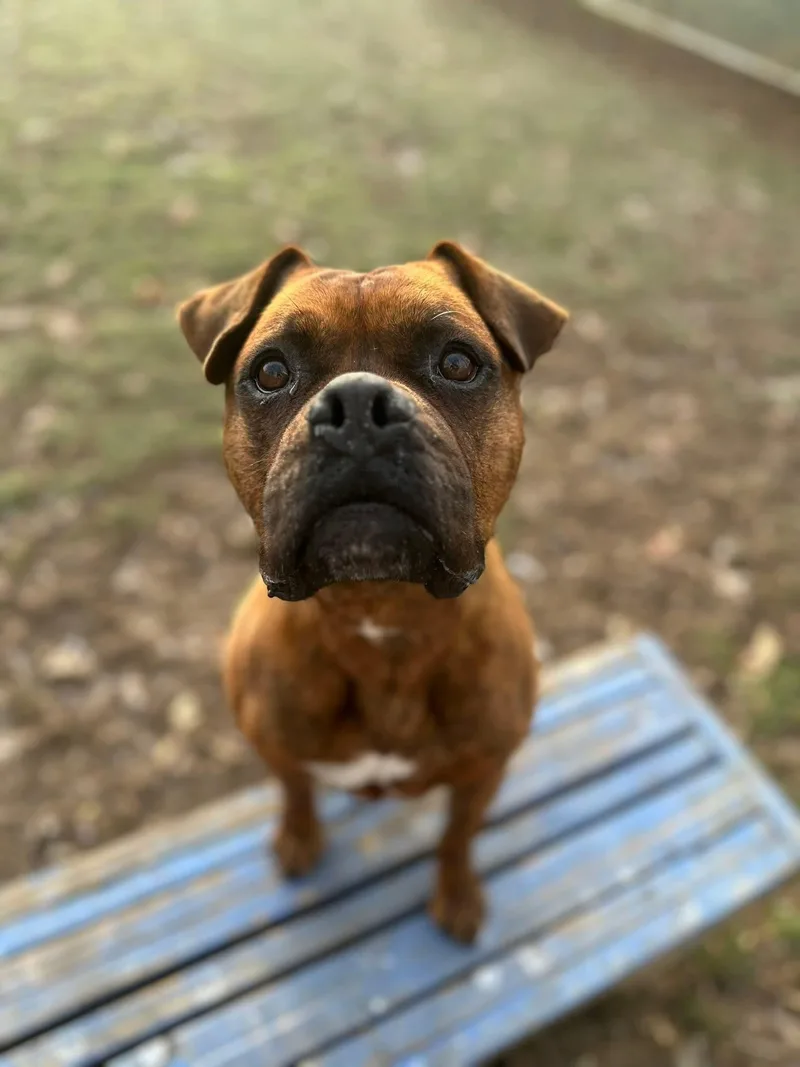 Joe Chill thumbnail 3