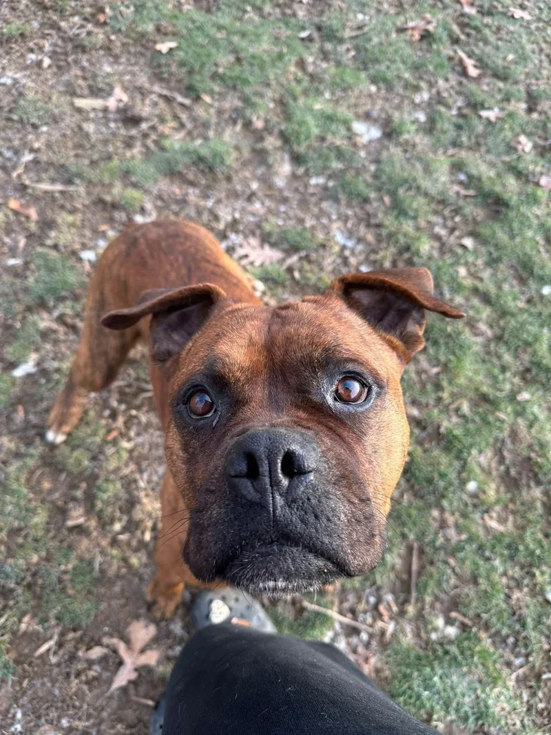 Joe Chill thumbnail 4