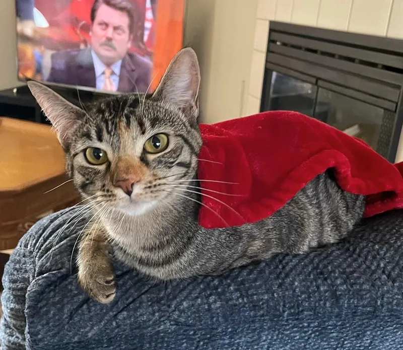 Ellie And Livvie Ncc thumbnail 2