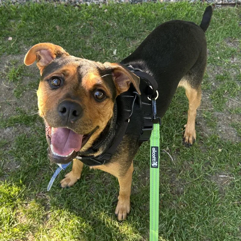 Jax