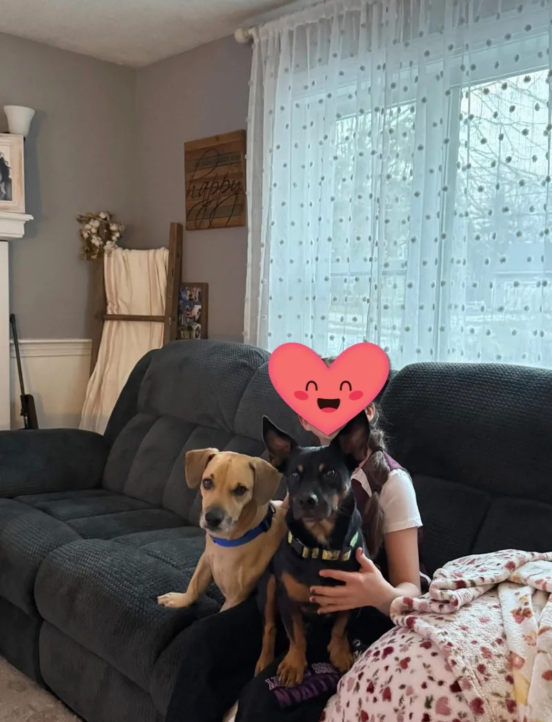 Finn & Adin thumbnail 4