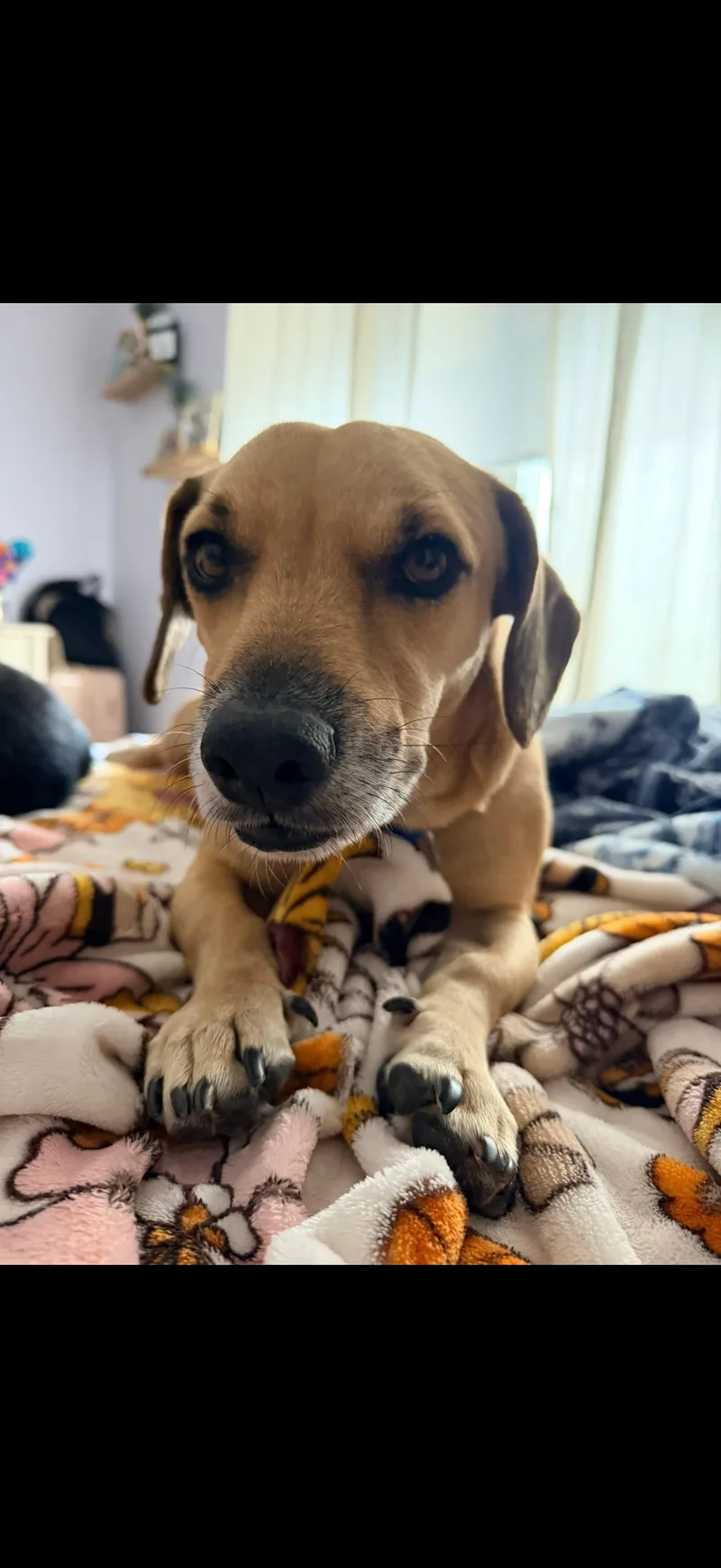 Finn & Adin thumbnail 2