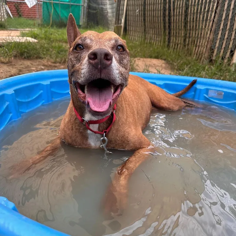 Melon Loaf thumbnail 5