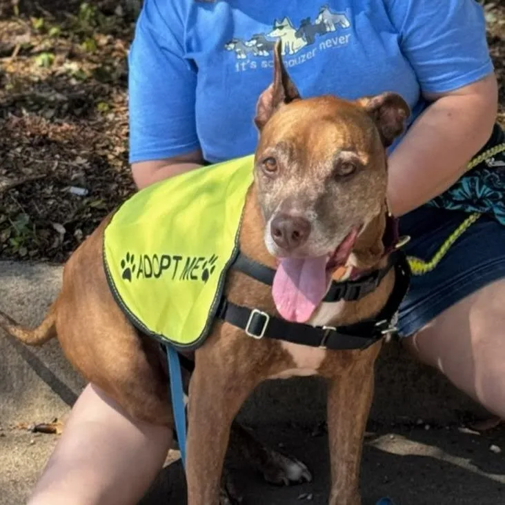 Melon Loaf thumbnail 6